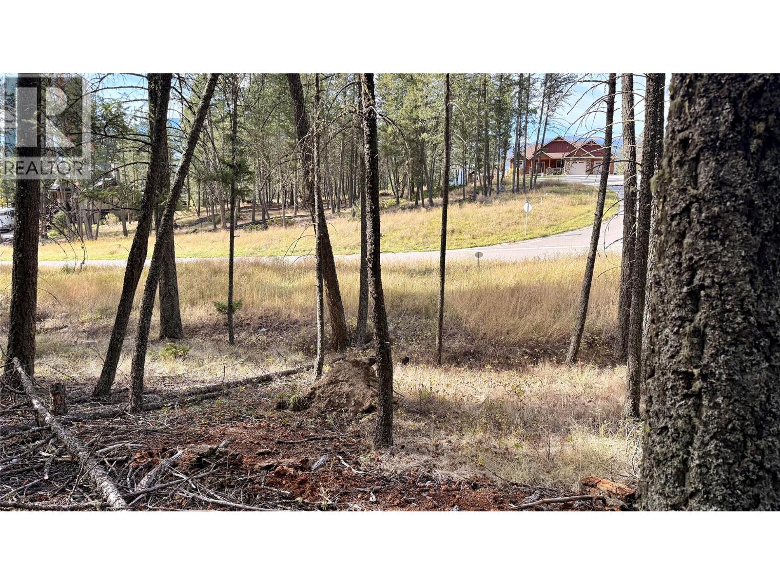 Lot 44 Mountain View Drive, Fairmont Hot Springs, British Columbia  V0B 1L1 - Photo 19 - 10403076