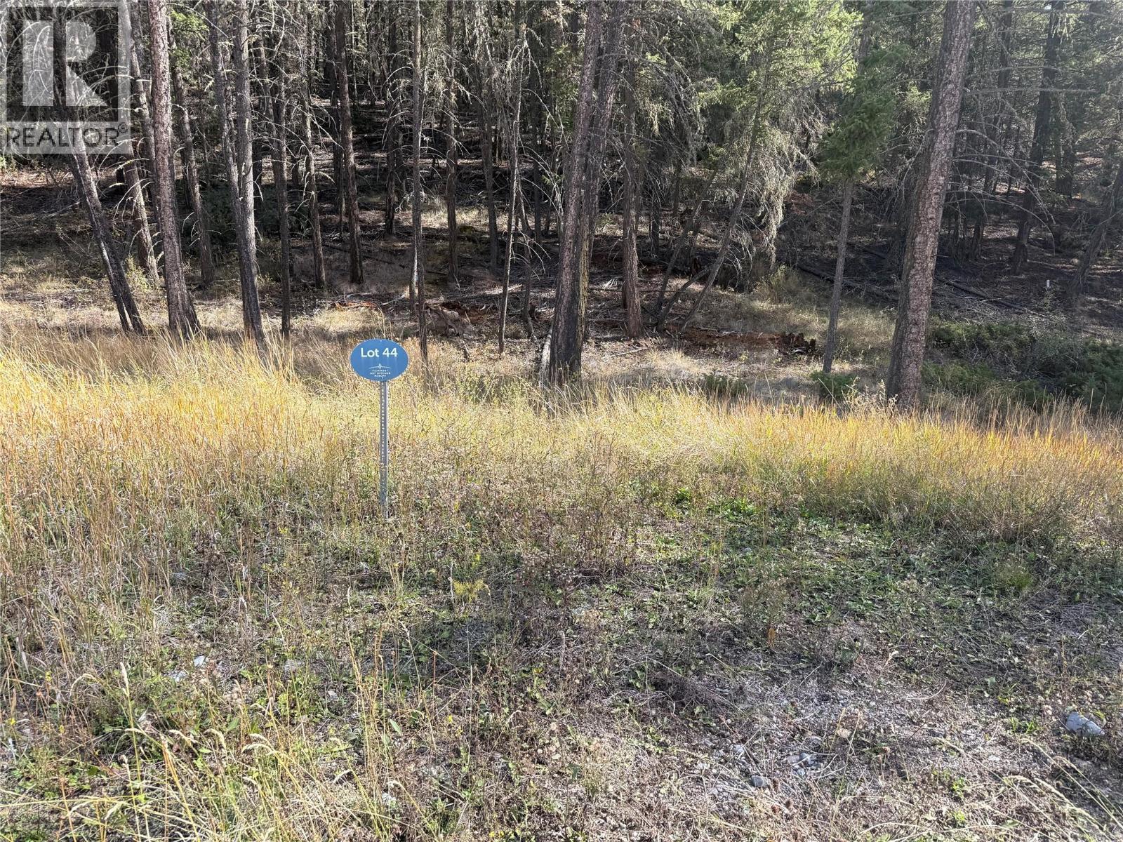Lot 44 Mountain View Drive, Fairmont Hot Springs, British Columbia  V0B 1L1 - Photo 3 - 10403076