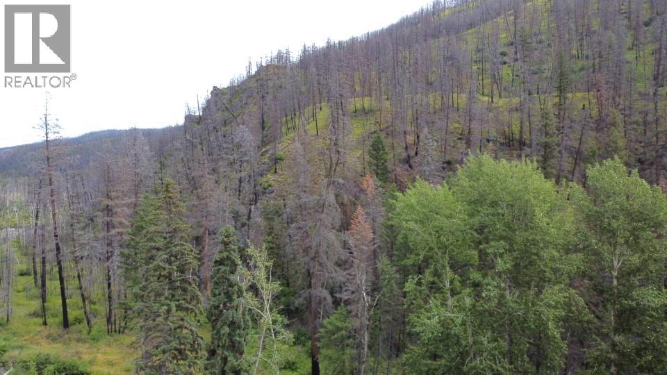 6520 Deadman Vidette Road, Out Of Area, British Columbia  V0K 2J0 - Photo 4 - 10403213