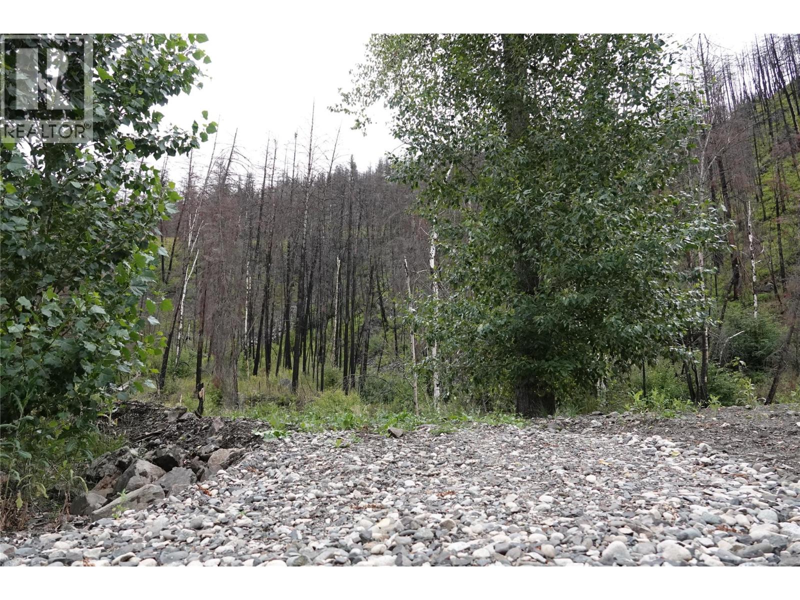 6520 Deadman Vidette Road, Out Of Area, British Columbia  V0K 2J0 - Photo 61 - 10403213