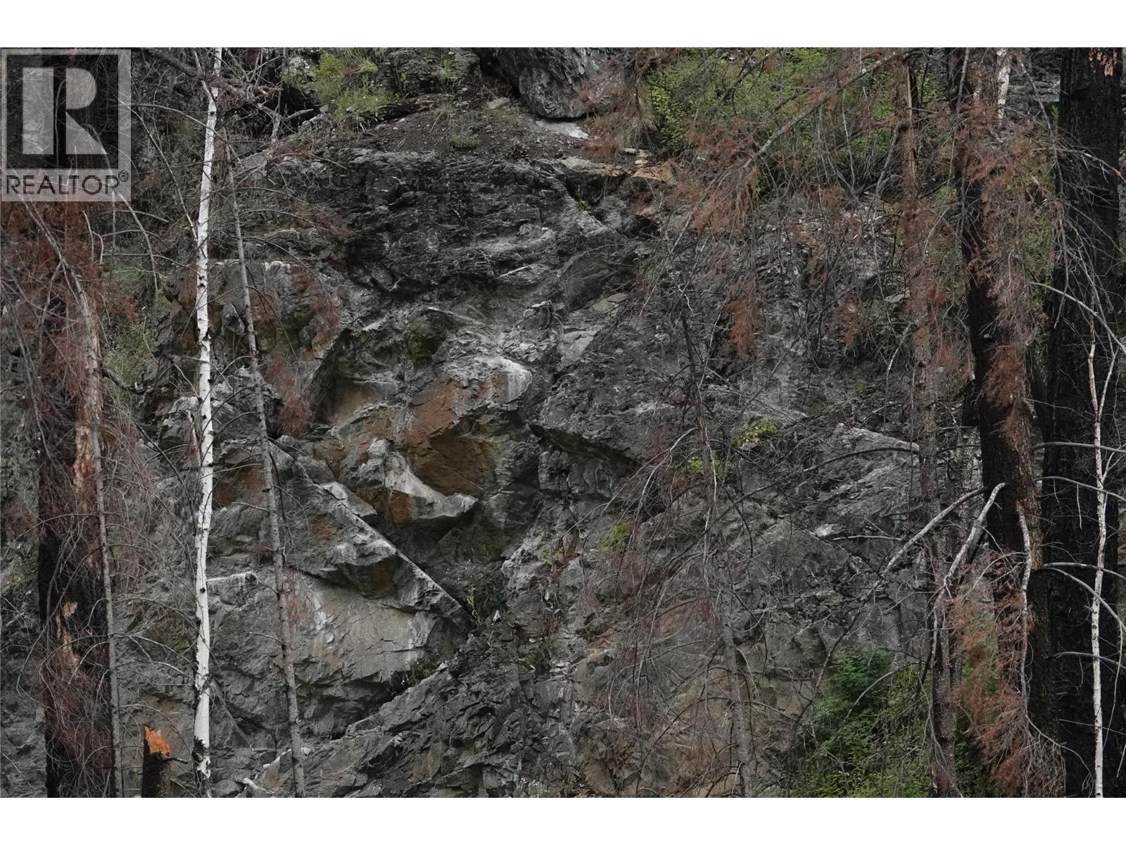 6520 Deadman Vidette Road, Out Of Area, British Columbia  V0K 2J0 - Photo 76 - 10403213