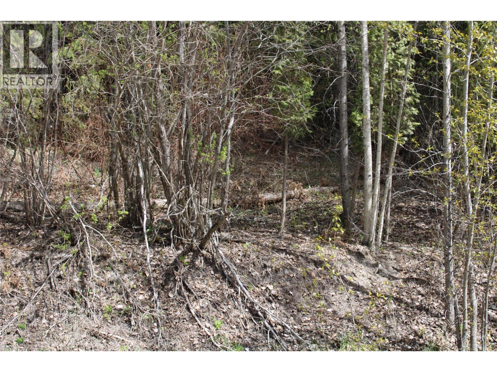 Lot 2 Vickers Trail, Anglemont, British Columbia  V0E 1M8 - Photo 1 - 10403191