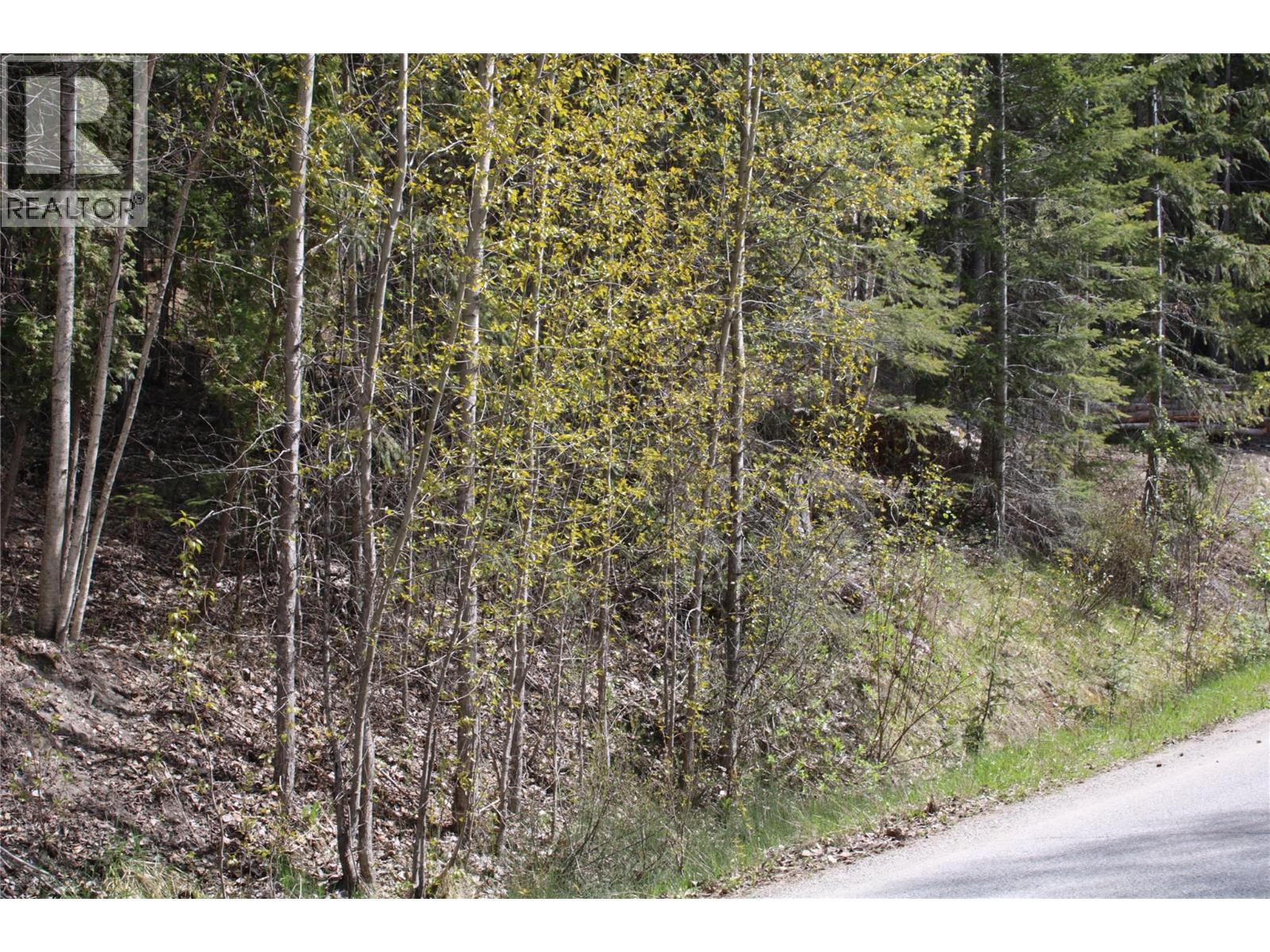 Lot 2 Vickers Trail, Anglemont, British Columbia  V0E 1M8 - Photo 2 - 10403191