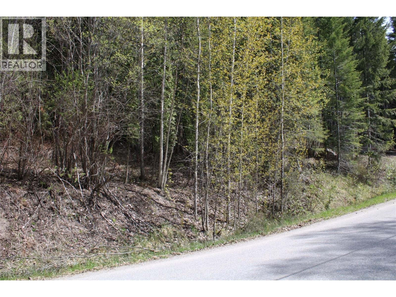 Lot 2 Vickers Trail, Anglemont, British Columbia  V0E 1M8 - Photo 3 - 10403191
