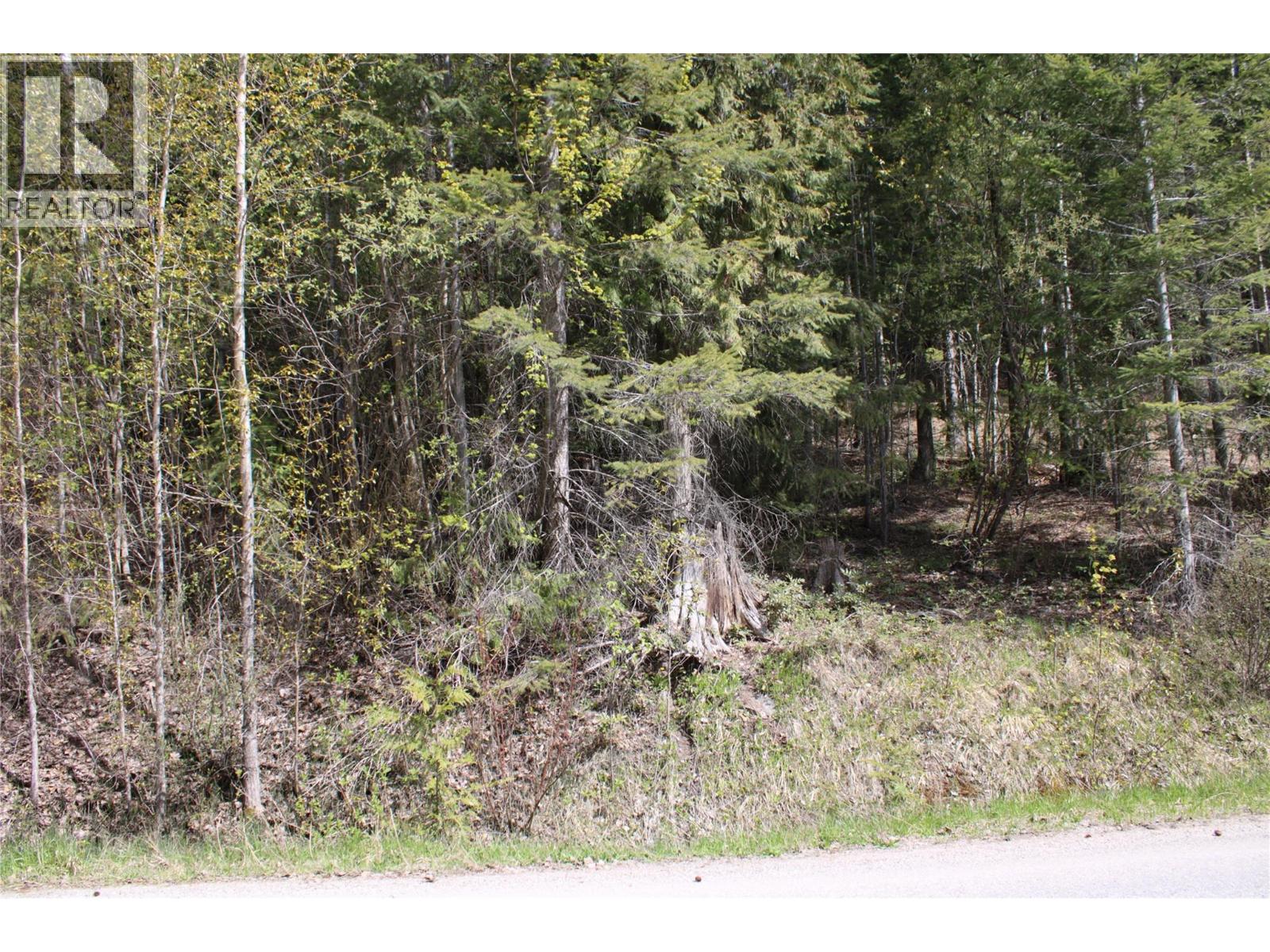 Lot 2 Vickers Trail, Anglemont, British Columbia  V0E 1M8 - Photo 4 - 10403191