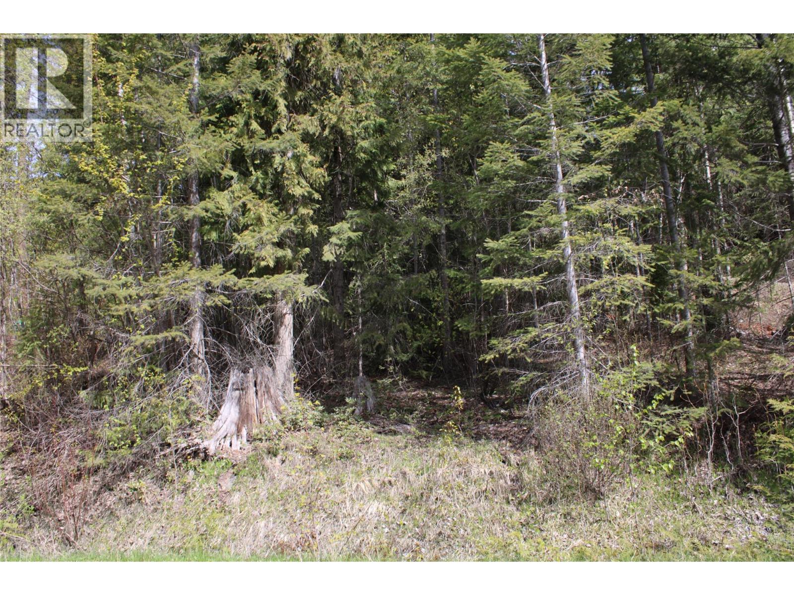 Lot 2 Vickers Trail, Anglemont, British Columbia  V0E 1M8 - Photo 5 - 10403191