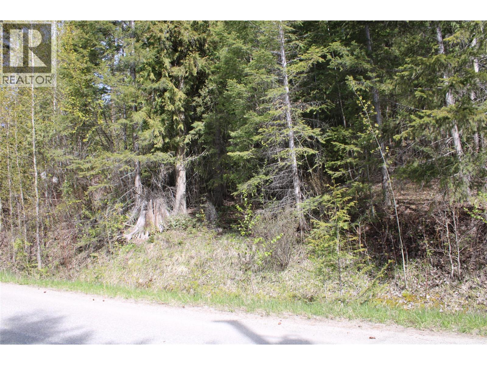 Lot 2 Vickers Trail, Anglemont, British Columbia  V0E 1M8 - Photo 6 - 10403191