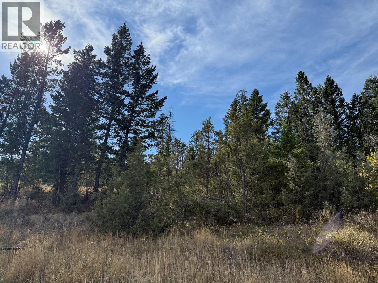 Lot 15 Bella Vista Boulevard Lot# Sl 15, Fairmont Hot Springs, British Columbia  V0B 1L2 - Photo 3 - 10403072