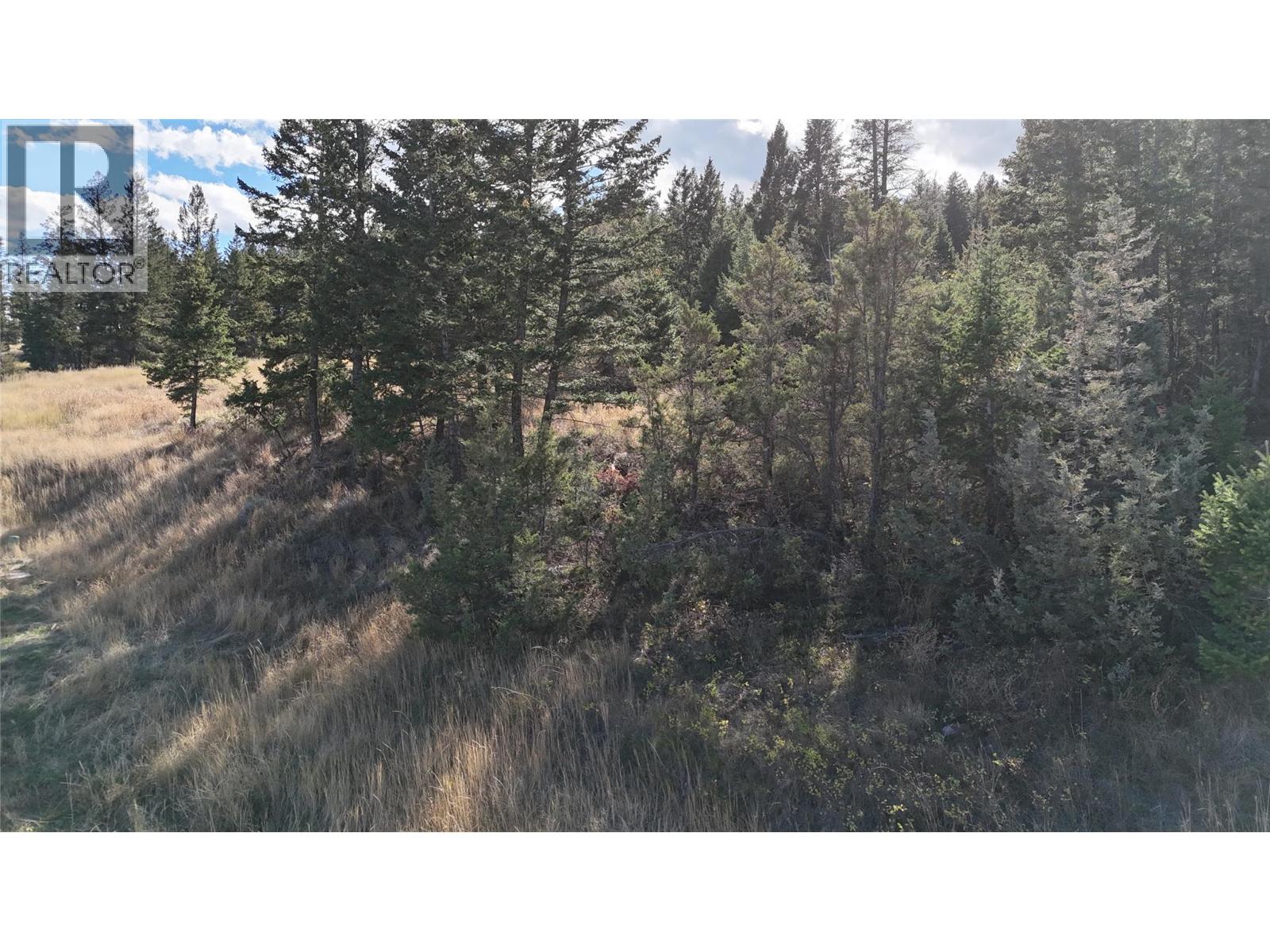 Lot 15 Bella Vista Boulevard Lot# Sl 15, Fairmont Hot Springs, British Columbia  V0B 1L2 - Photo 7 - 10403072