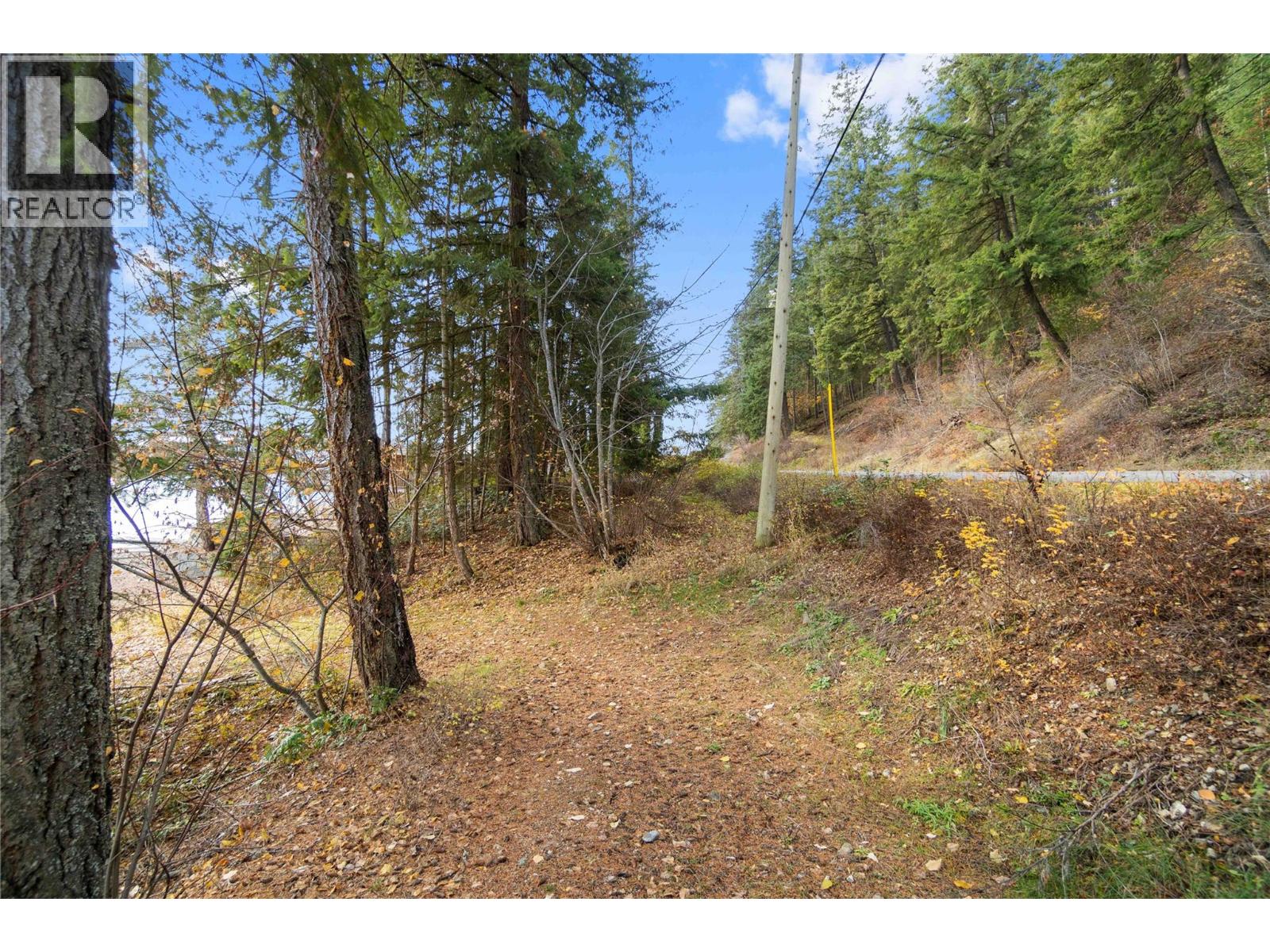 Lot 3 Sunnybrae Canoe Point Road, Tappen, British Columbia  V0E 2X1 - Photo 22 - 10403345