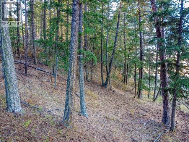 1740 Macaulay Road, Merritt, British Columbia  V0K 2L0 - Photo 61 - 10403332