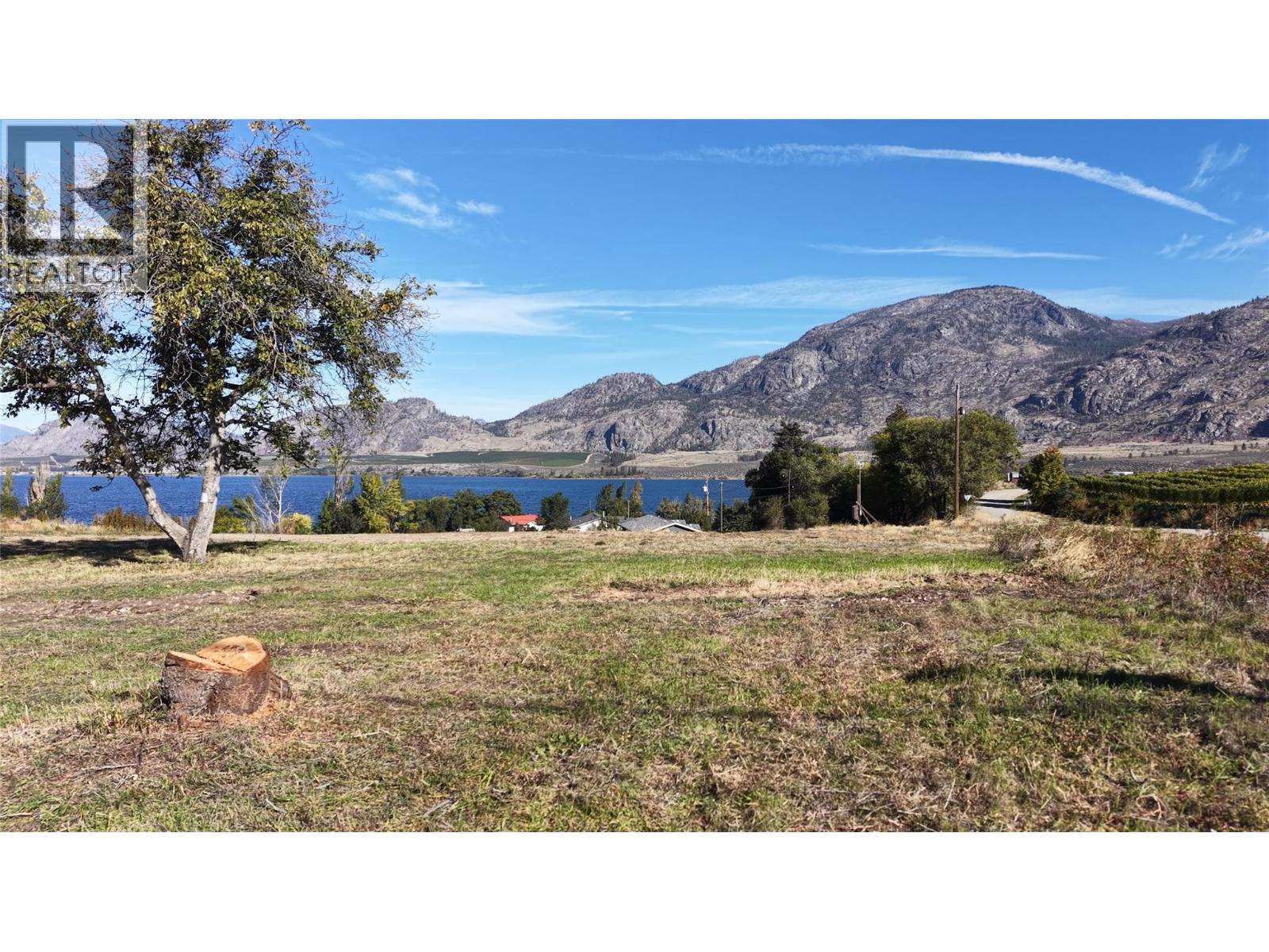 8522 98th Avenue, Osoyoos, British Columbia  V0H 1V2 - Photo 4 - 10403251