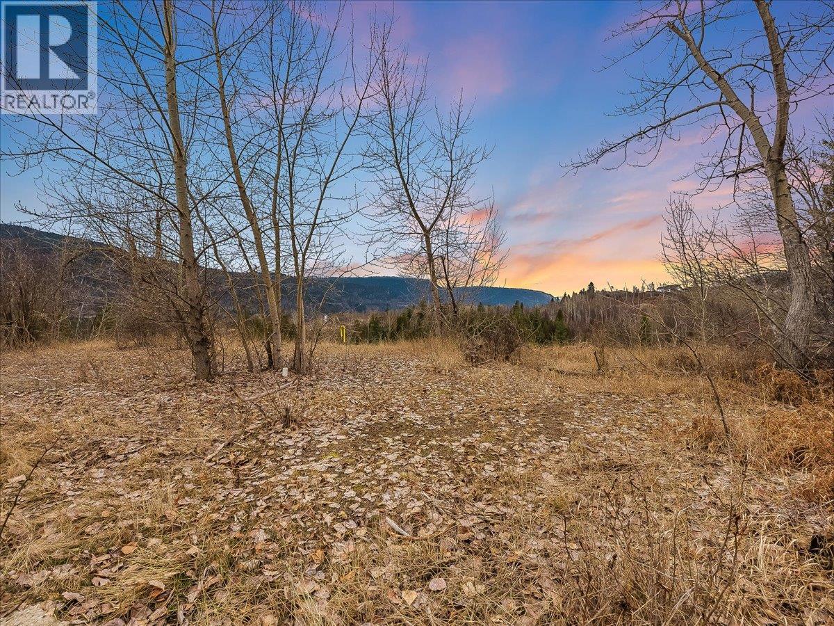 1220 37th Street, Castlegar, British Columbia  V1N 3N1 - Photo 1 - 10403184
