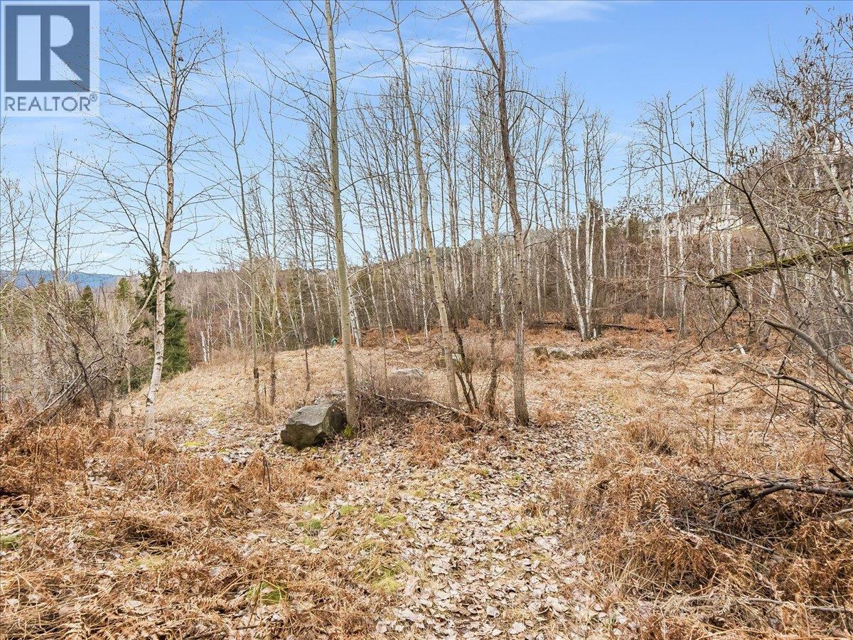 1220 37th Street, Castlegar, British Columbia  V1N 3N1 - Photo 12 - 10403184