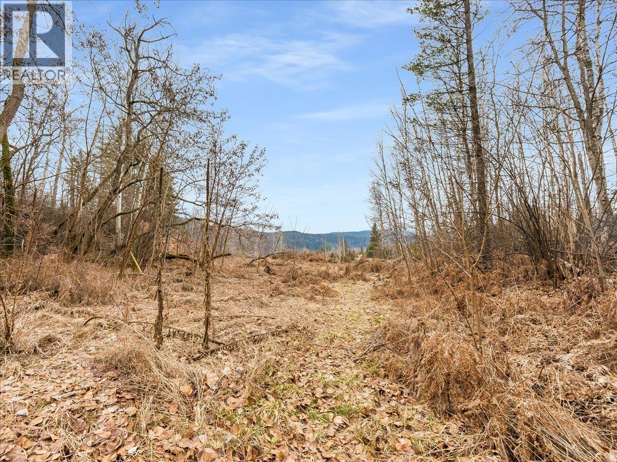 1220 37th Street, Castlegar, British Columbia  V1N 3N1 - Photo 13 - 10403184
