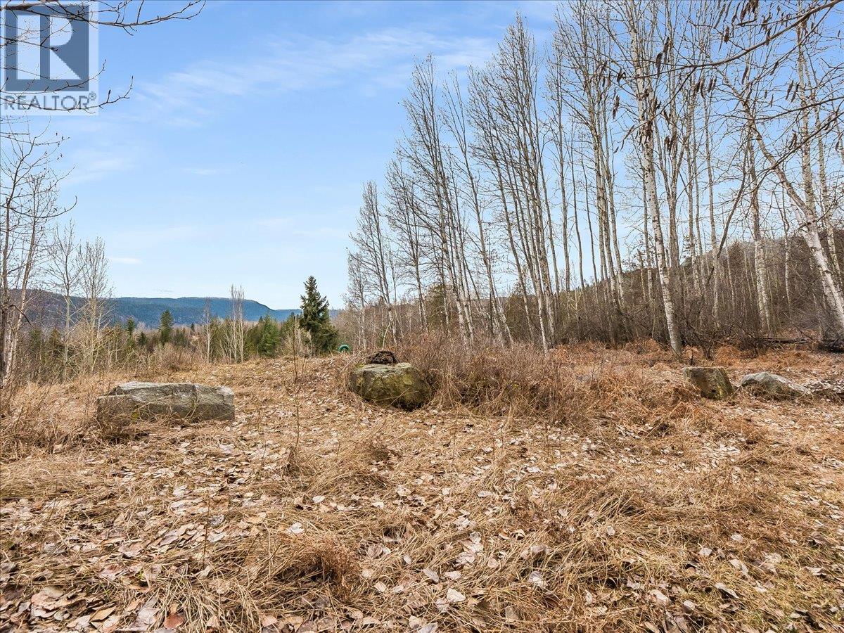 1220 37th Street, Castlegar, British Columbia  V1N 3N1 - Photo 14 - 10403184