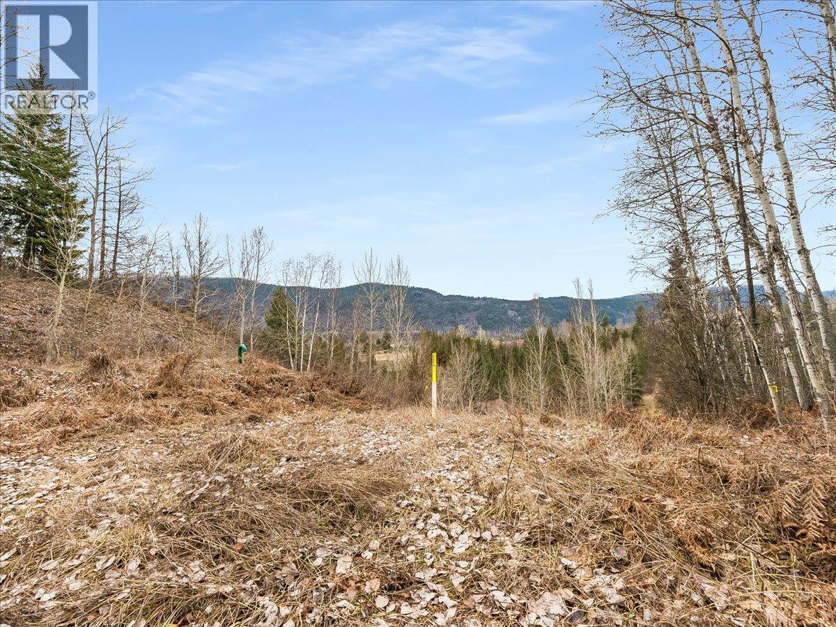 1220 37th Street, Castlegar, British Columbia  V1N 3N1 - Photo 15 - 10403184