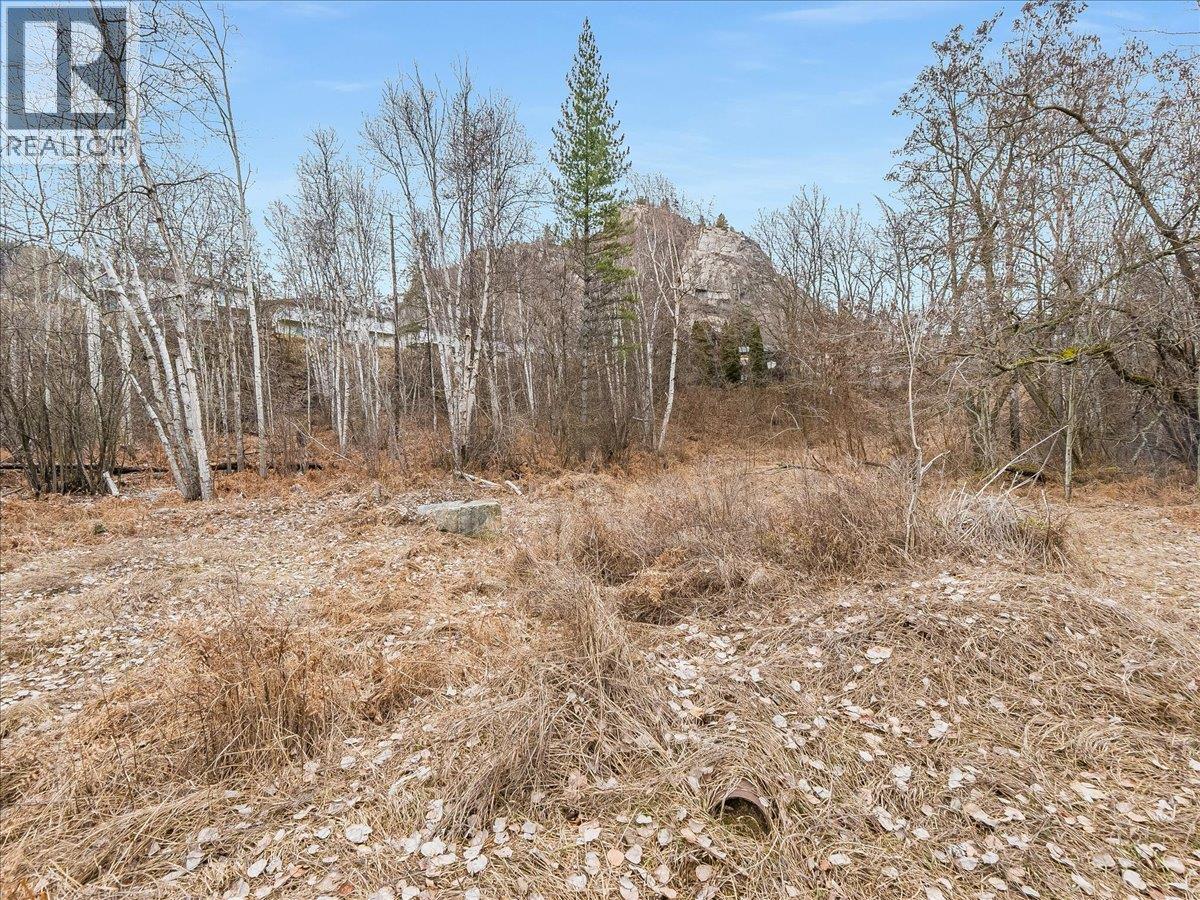 1220 37th Street, Castlegar, British Columbia  V1N 3N1 - Photo 16 - 10403184