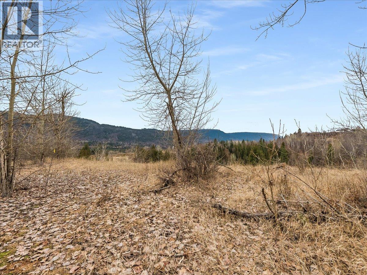 1220 37th Street, Castlegar, British Columbia  V1N 3N1 - Photo 17 - 10403184