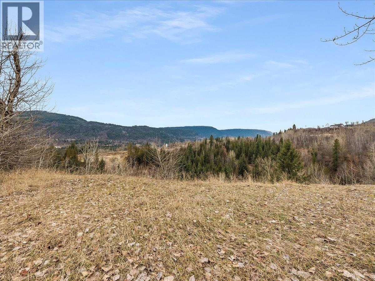 1220 37th Street, Castlegar, British Columbia  V1N 3N1 - Photo 18 - 10403184