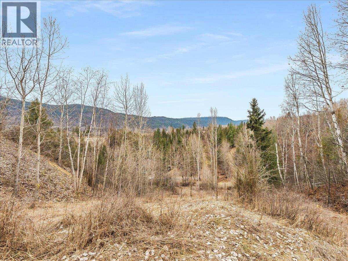 1220 37th Street, Castlegar, British Columbia  V1N 3N1 - Photo 19 - 10403184
