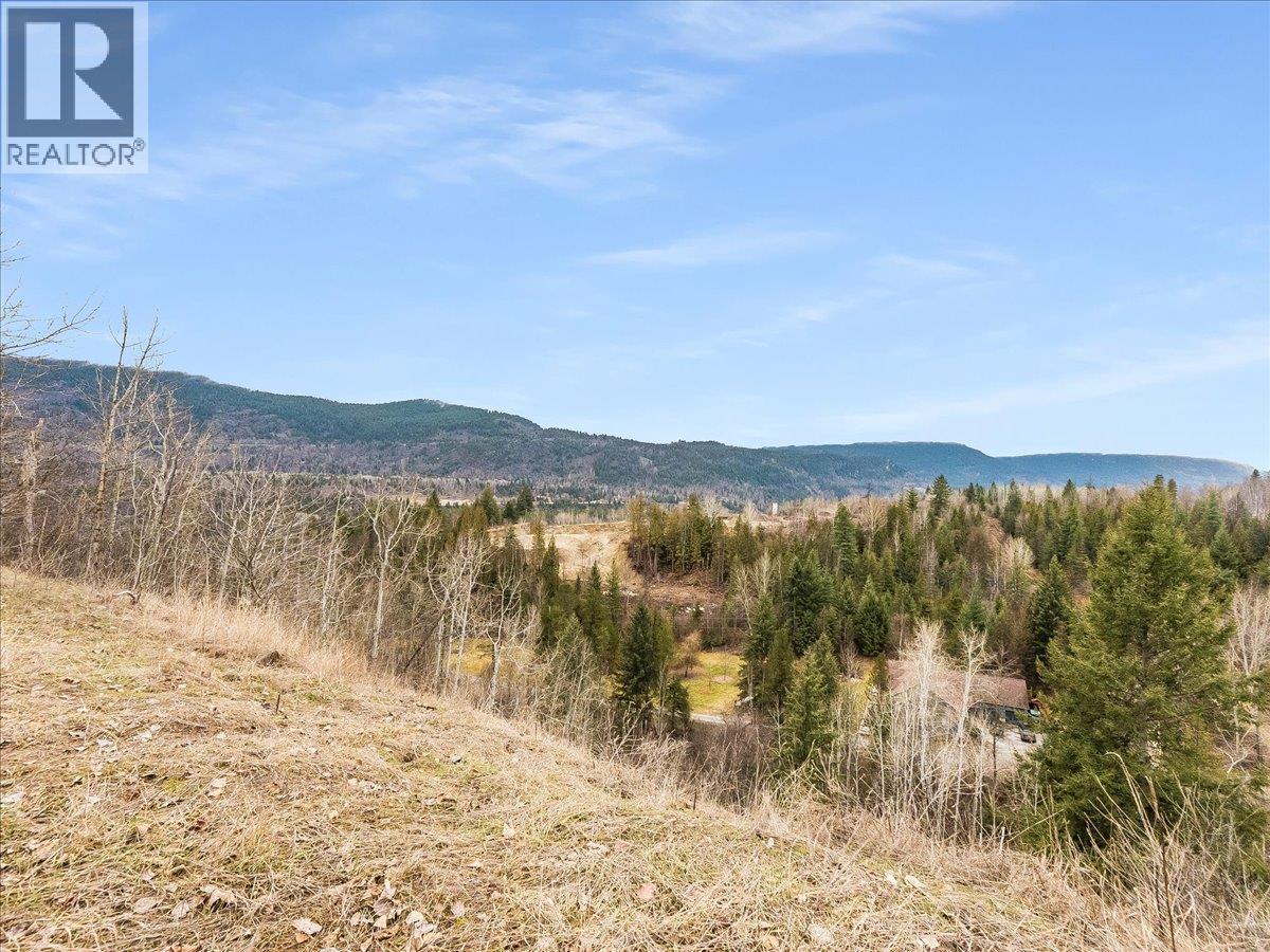 1220 37th Street, Castlegar, British Columbia  V1N 3N1 - Photo 2 - 10403184