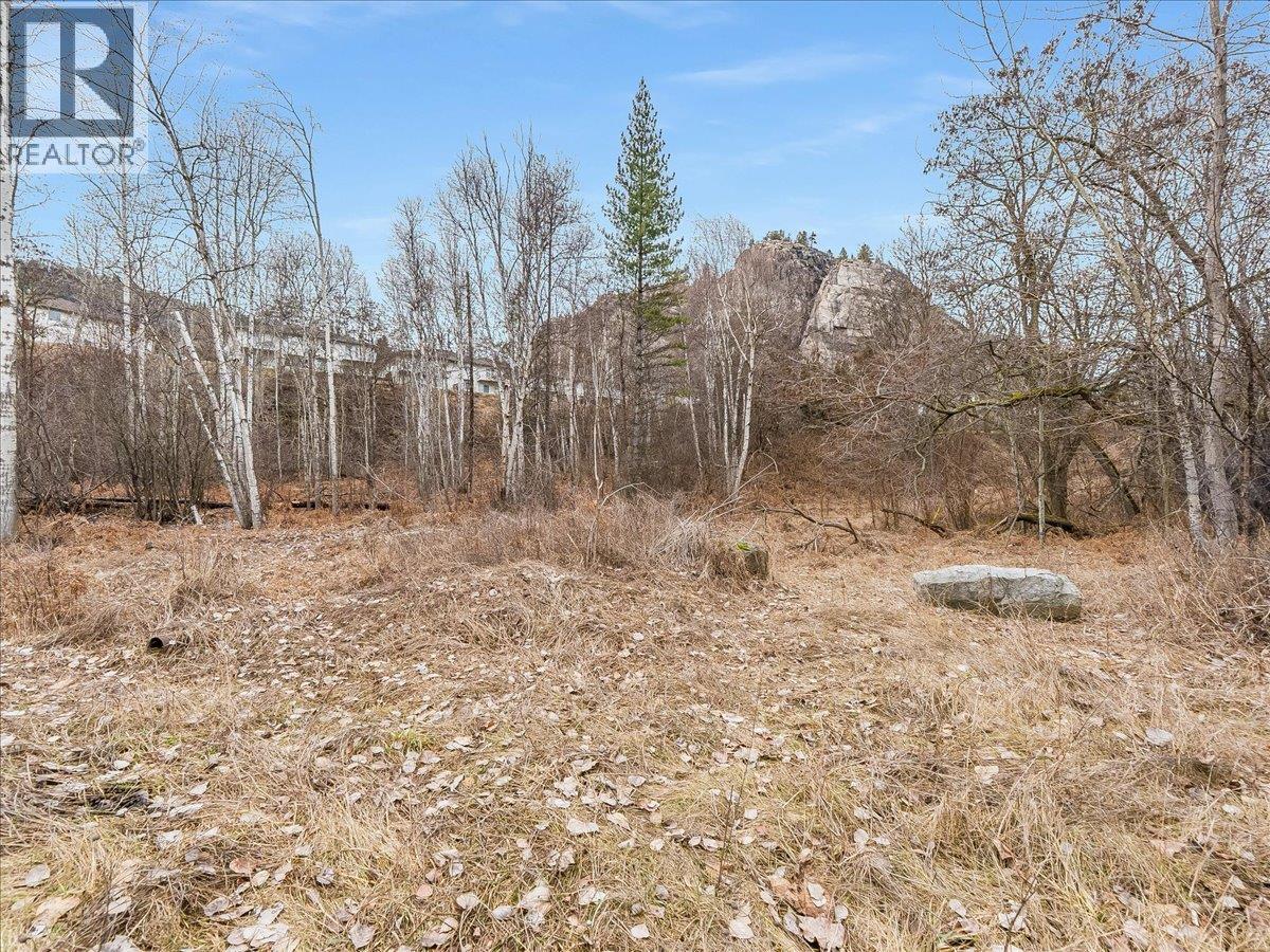 1220 37th Street, Castlegar, British Columbia  V1N 3N1 - Photo 20 - 10403184