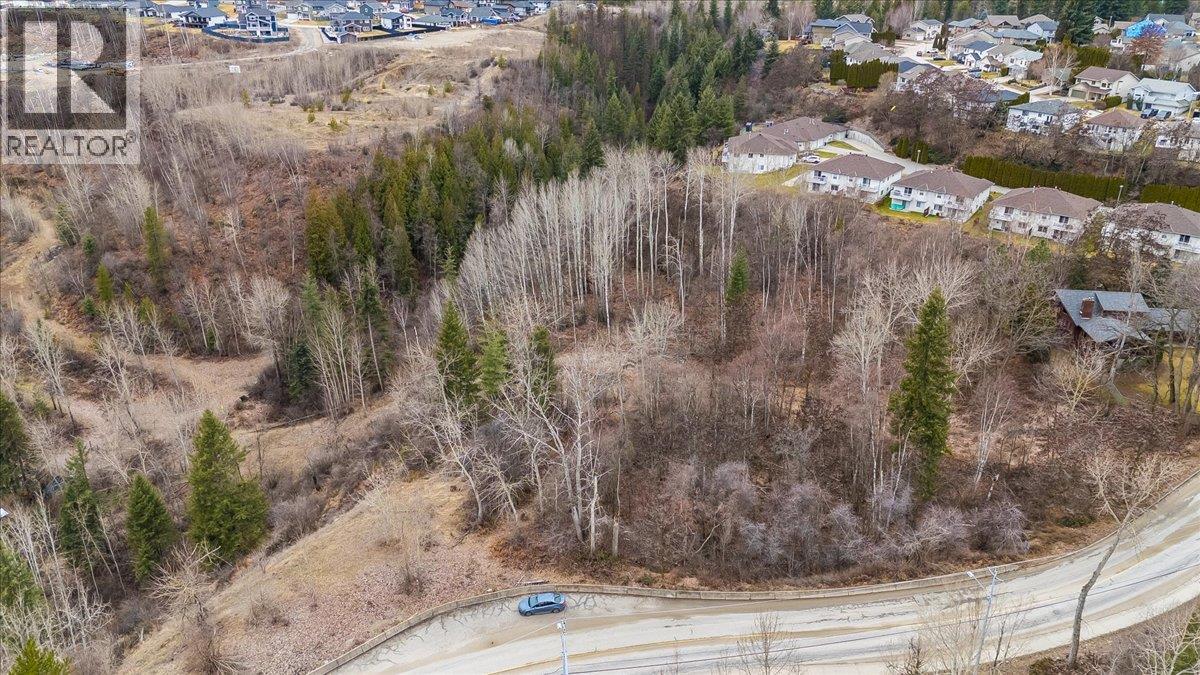 1220 37th Street, Castlegar, British Columbia  V1N 3N1 - Photo 29 - 10403184