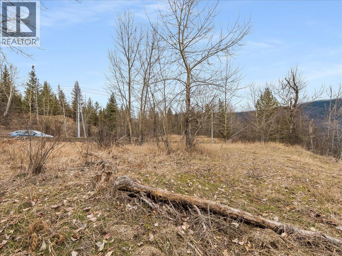 1220 37th Street, Castlegar, British Columbia  V1N 3N1 - Photo 6 - 10403184