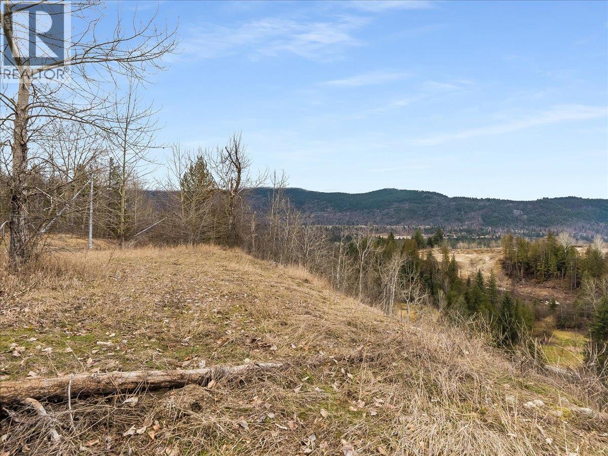 1220 37th Street, Castlegar, British Columbia  V1N 3N1 - Photo 7 - 10403184