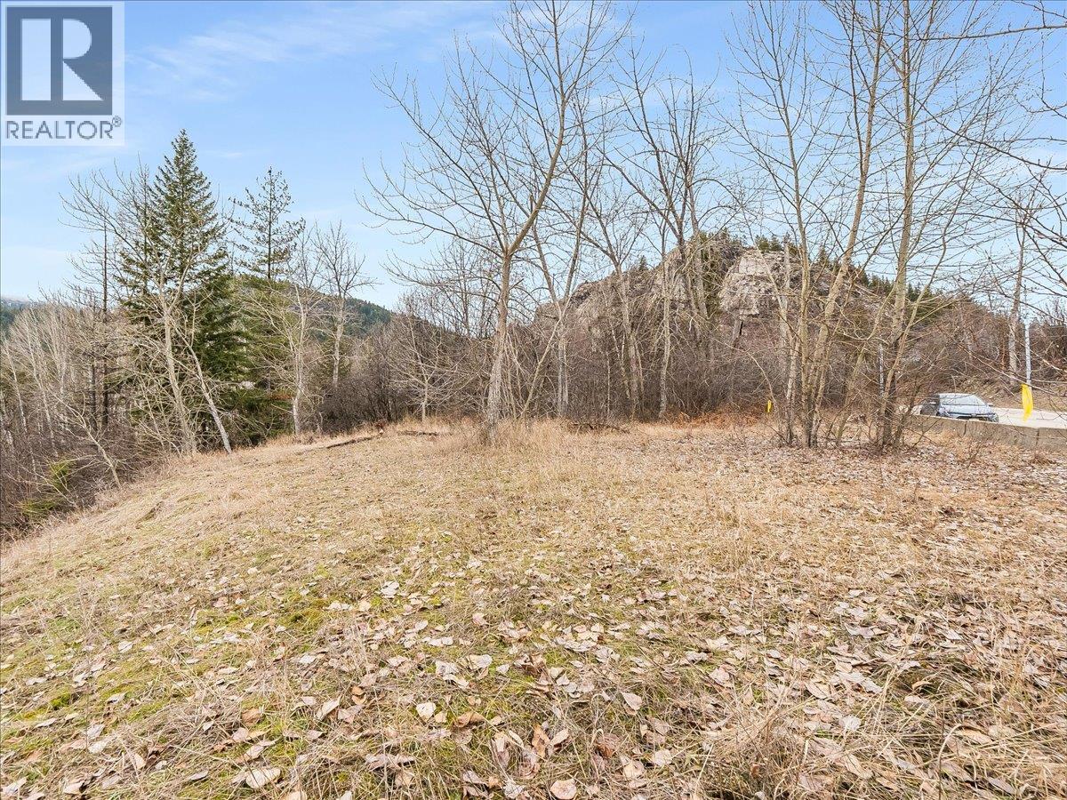 1220 37th Street, Castlegar, British Columbia  V1N 3N1 - Photo 8 - 10403184