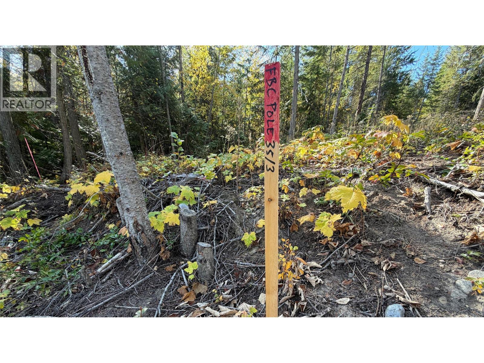 1515 Schulli Road, Christina Lake, British Columbia  V0H 1E0 - Photo 13 - 10403149