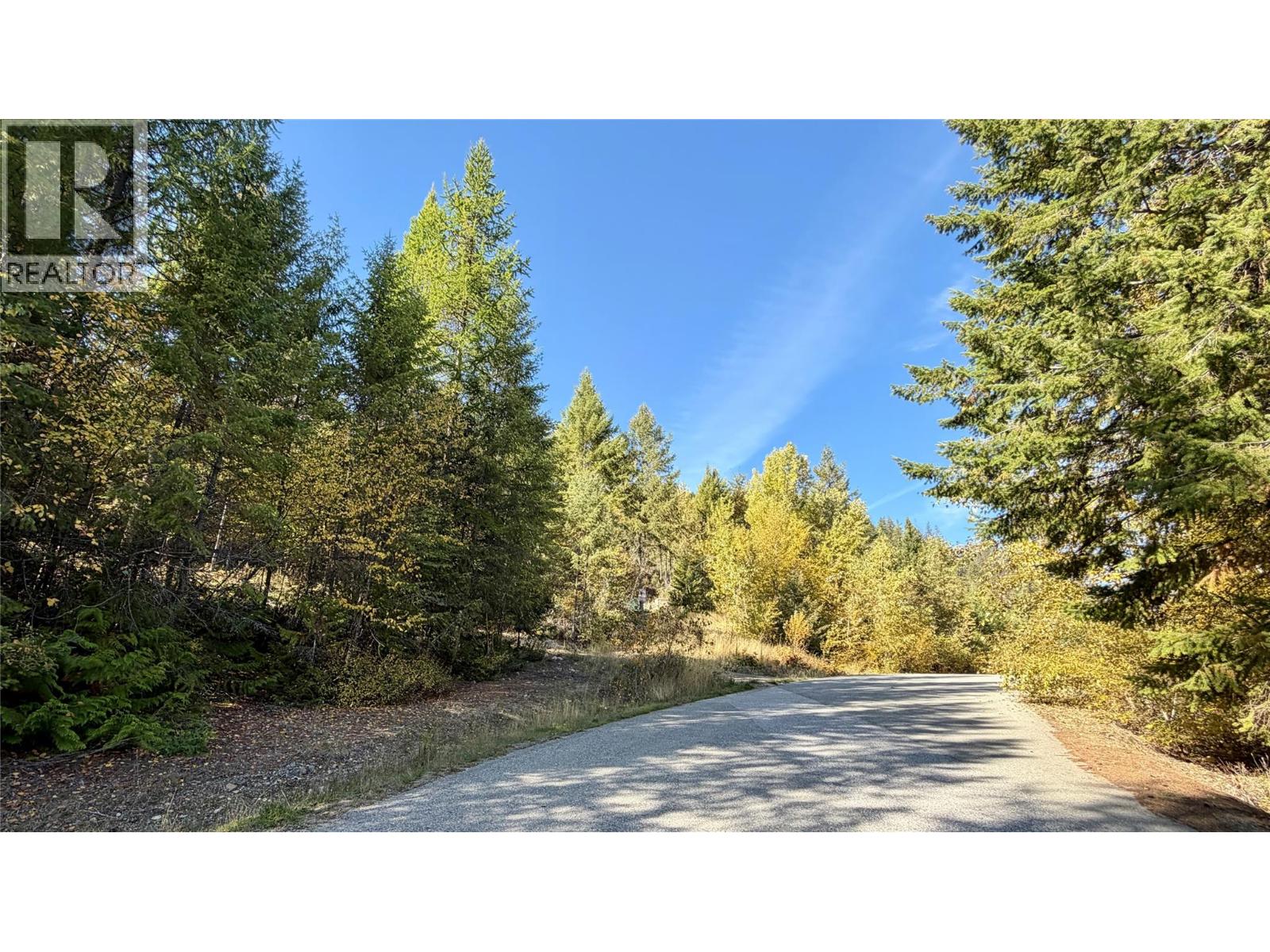 1515 Schulli Road, Christina Lake, British Columbia  V0H 1E0 - Photo 3 - 10403149