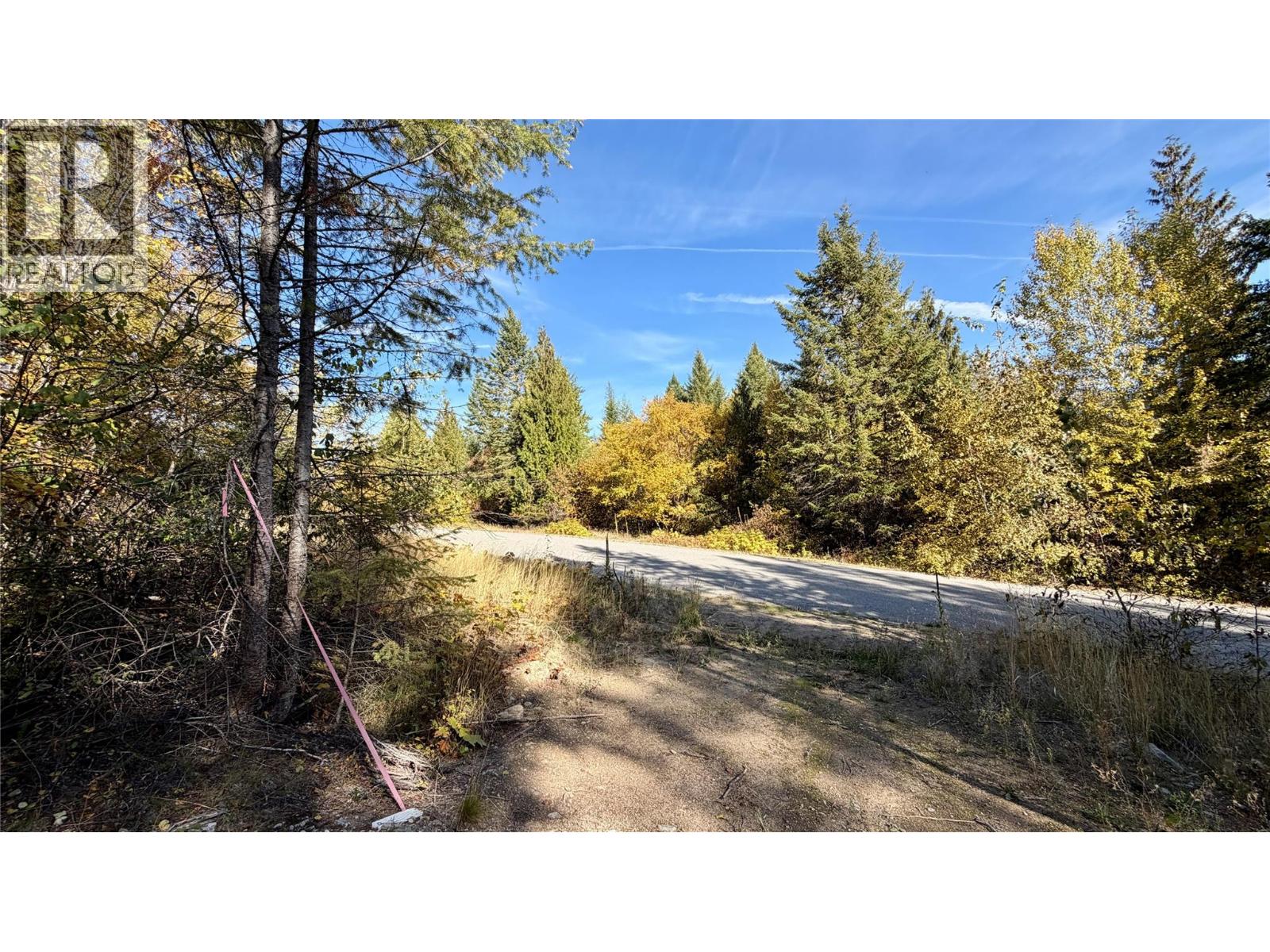 1515 Schulli Road, Christina Lake, British Columbia  V0H 1E0 - Photo 4 - 10403149