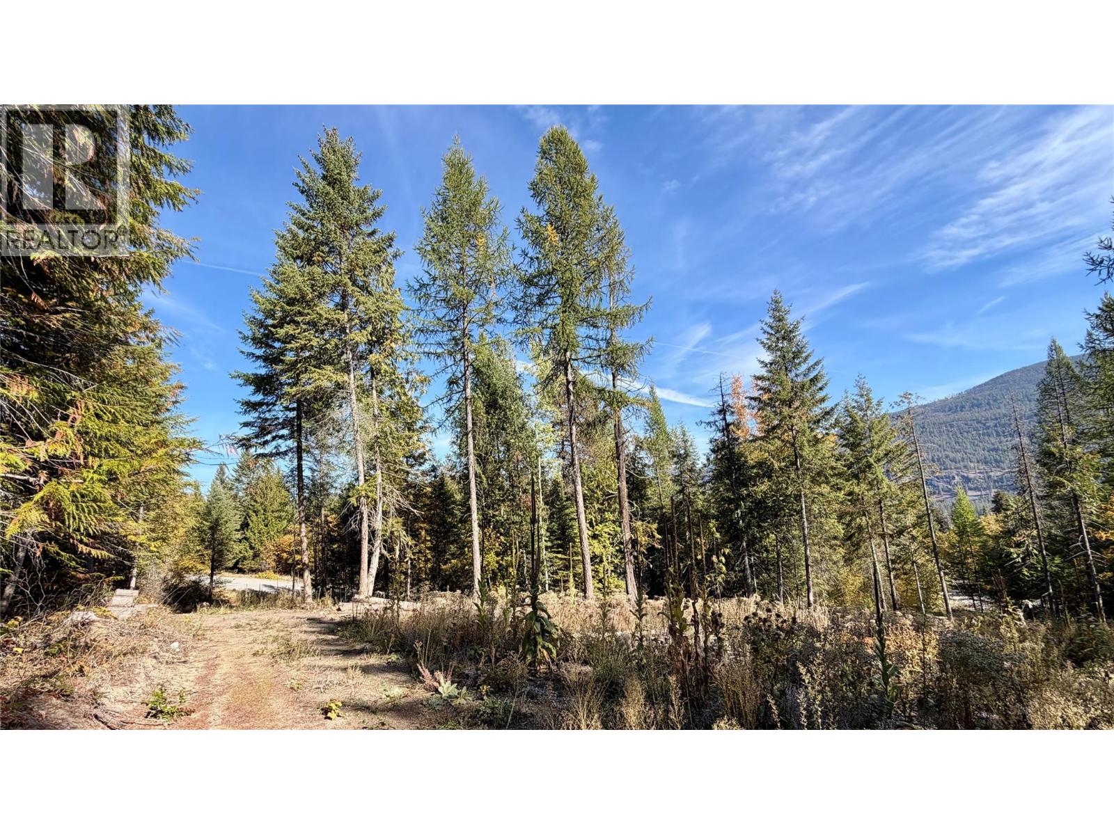 1515 Schulli Road, Christina Lake, British Columbia  V0H 1E0 - Photo 6 - 10403149