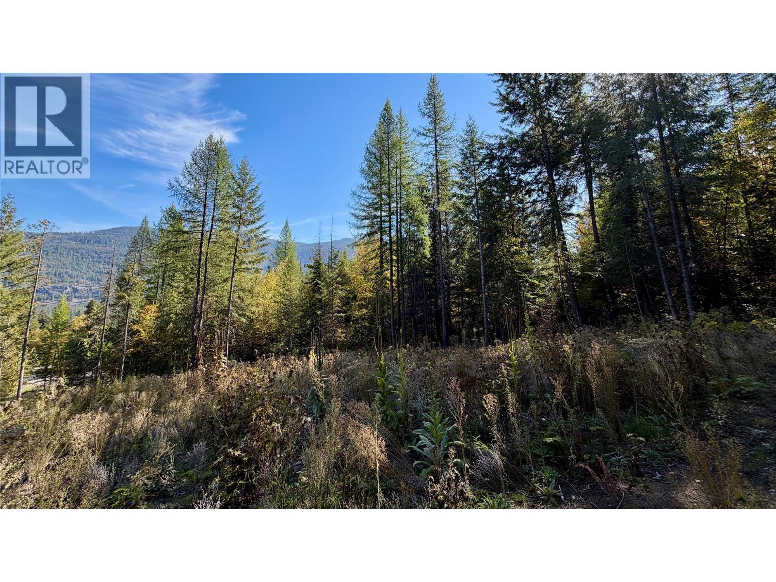1515 Schulli Road, Christina Lake, British Columbia  V0H 1E0 - Photo 8 - 10403149