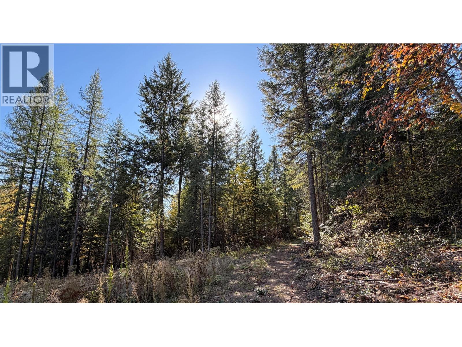 1515 Schulli Road, Christina Lake, British Columbia  V0H 1E0 - Photo 9 - 10403149