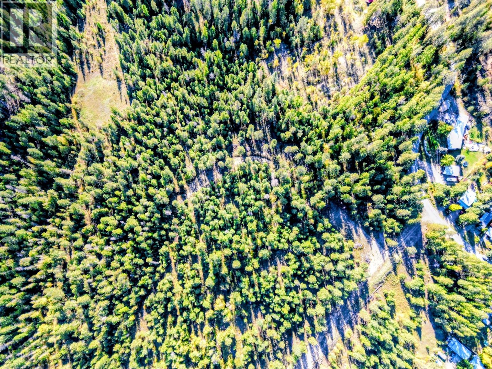 Lot 1 Thompson Road, Christina Lake, British Columbia  V0H 1E0 - Photo 4 - 10403060