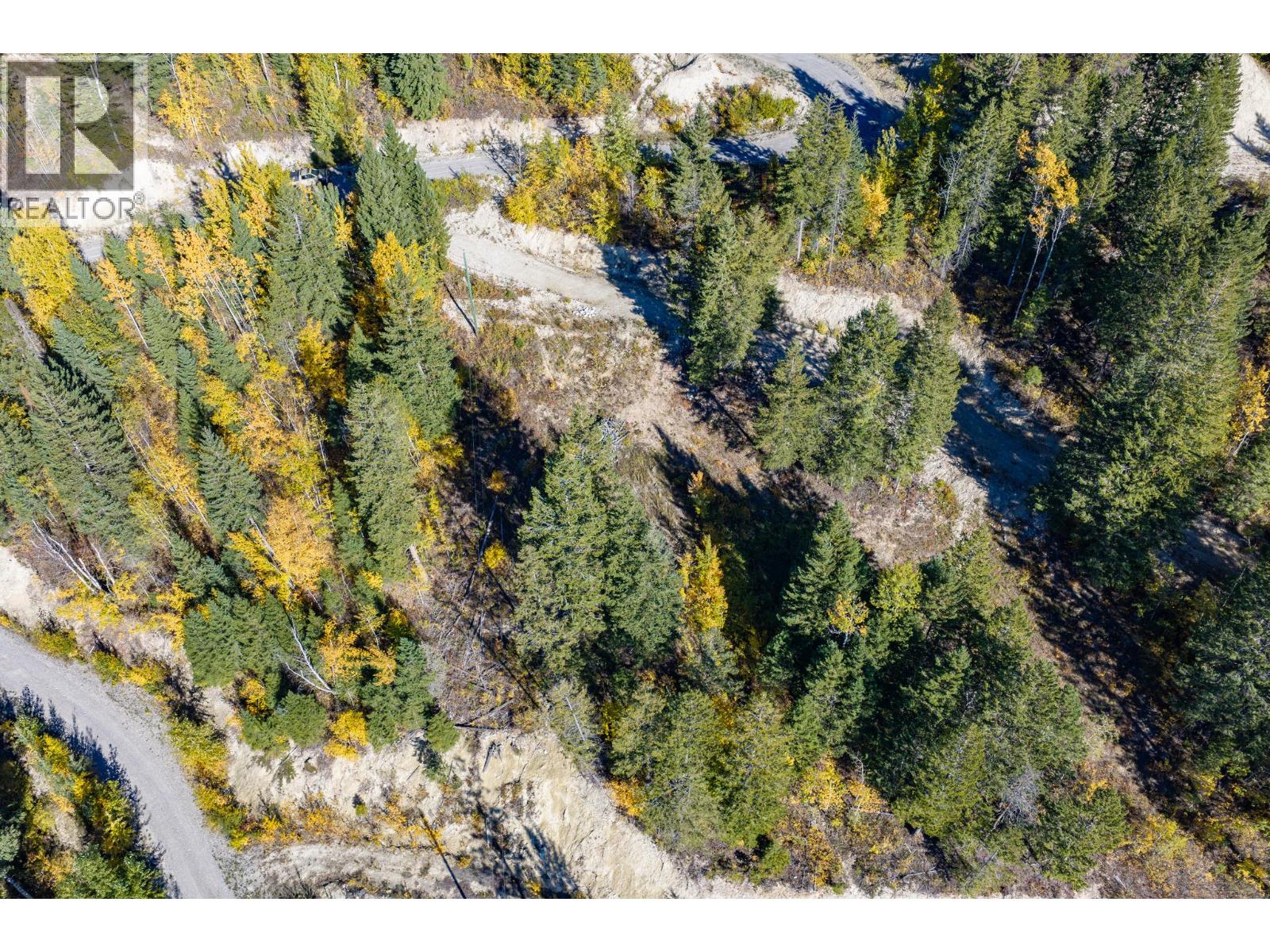 3483 95 Highway Unit# Site 12 Lot# 1, Parson, British Columbia  V0A 1L0 - Photo 6 - 10403373