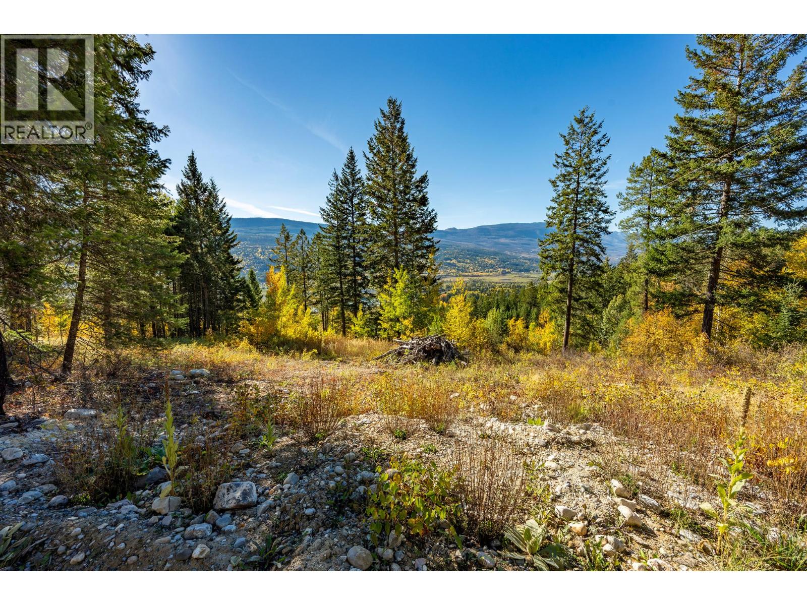3483 95 Highway Unit# Site 12 Lot# 1, Parson, British Columbia  V0A 1L0 - Photo 9 - 10403373