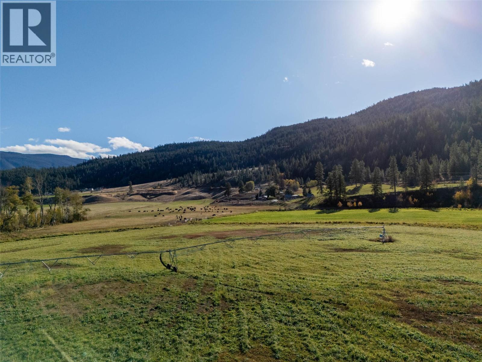 281 Lindley Creek Road, Merritt, British Columbia  V1K 1L4 - Photo 10 - 10402827