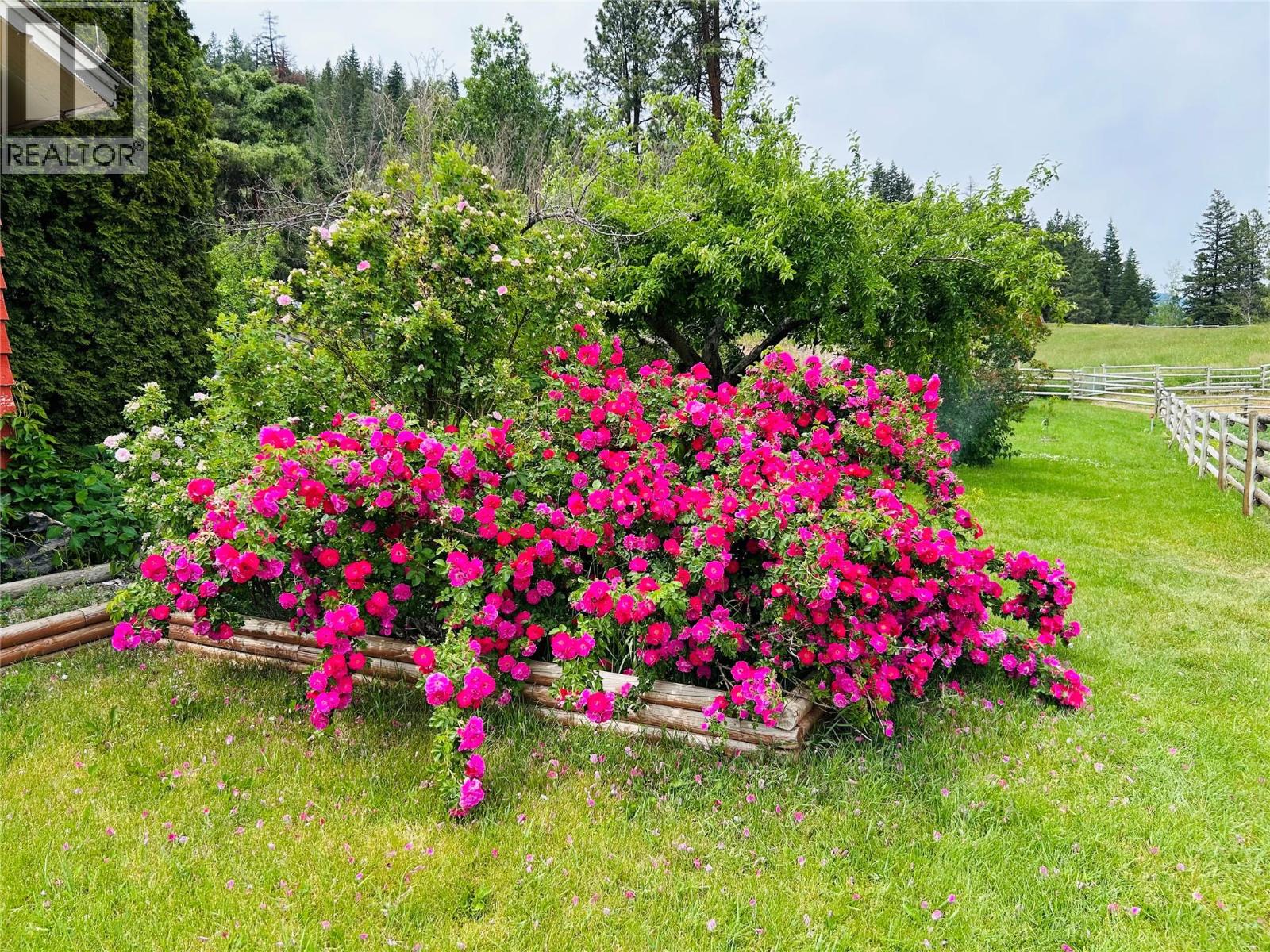 281 Lindley Creek Road, Merritt, British Columbia  V1K 1L4 - Photo 26 - 10402827