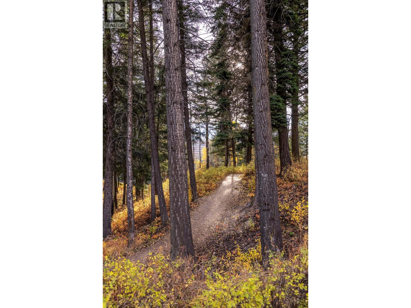 1330 Whitewood Crescent Unit# 210, Sparwood, British Columbia  V0B 2G2 - Photo 40 - 10403383