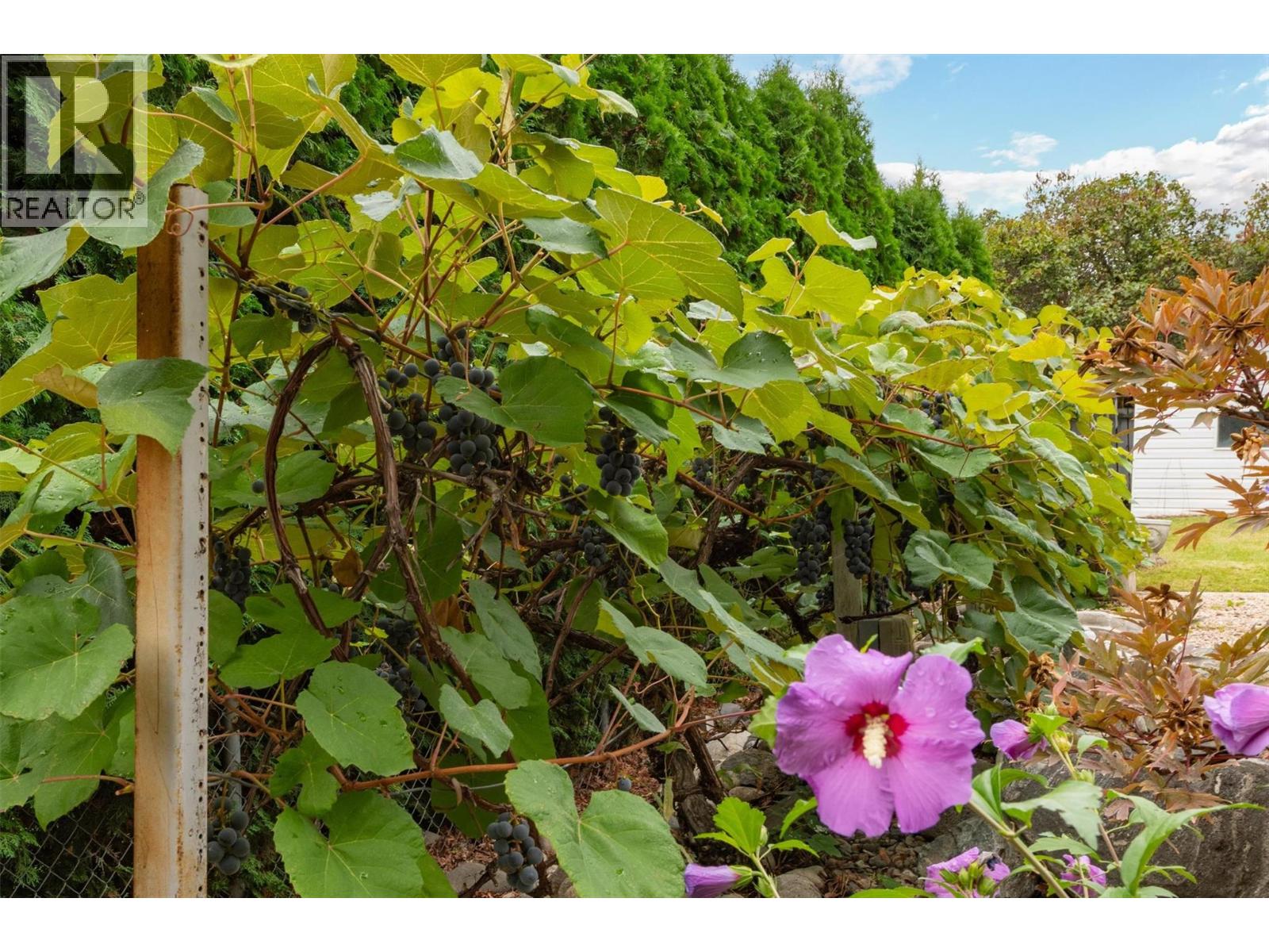 430 Perth Road, Kelowna, British Columbia  V1X 3R4 - Photo 36 - 10403461