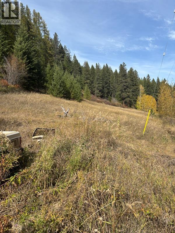 11105 North Fork Road, Grand Forks, British Columbia  V0H 1H8 - Photo 17 - 10403061
