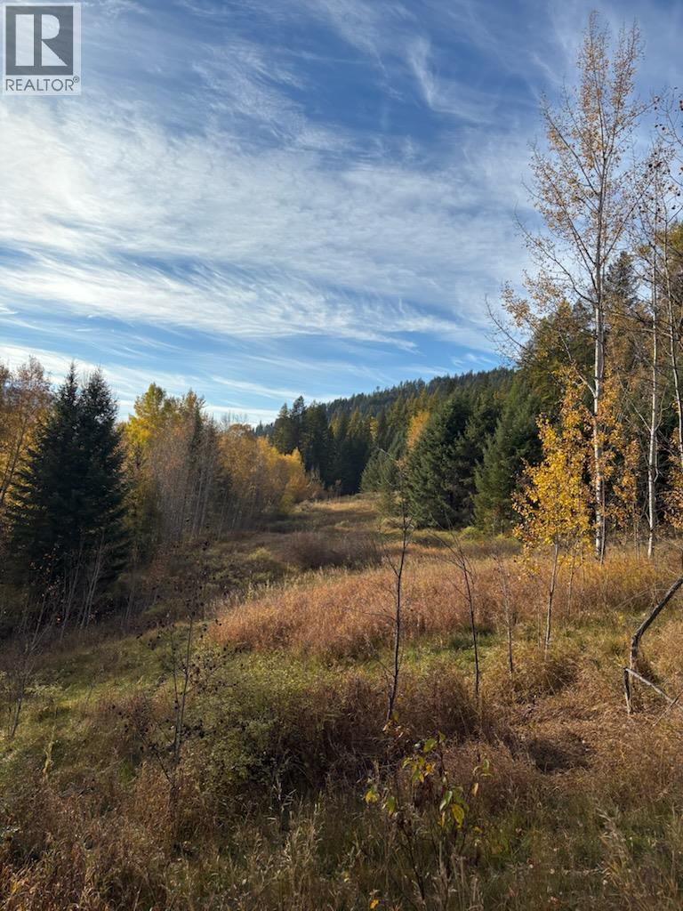 11105 North Fork Road, Grand Forks, British Columbia  V0H 1H8 - Photo 18 - 10403061