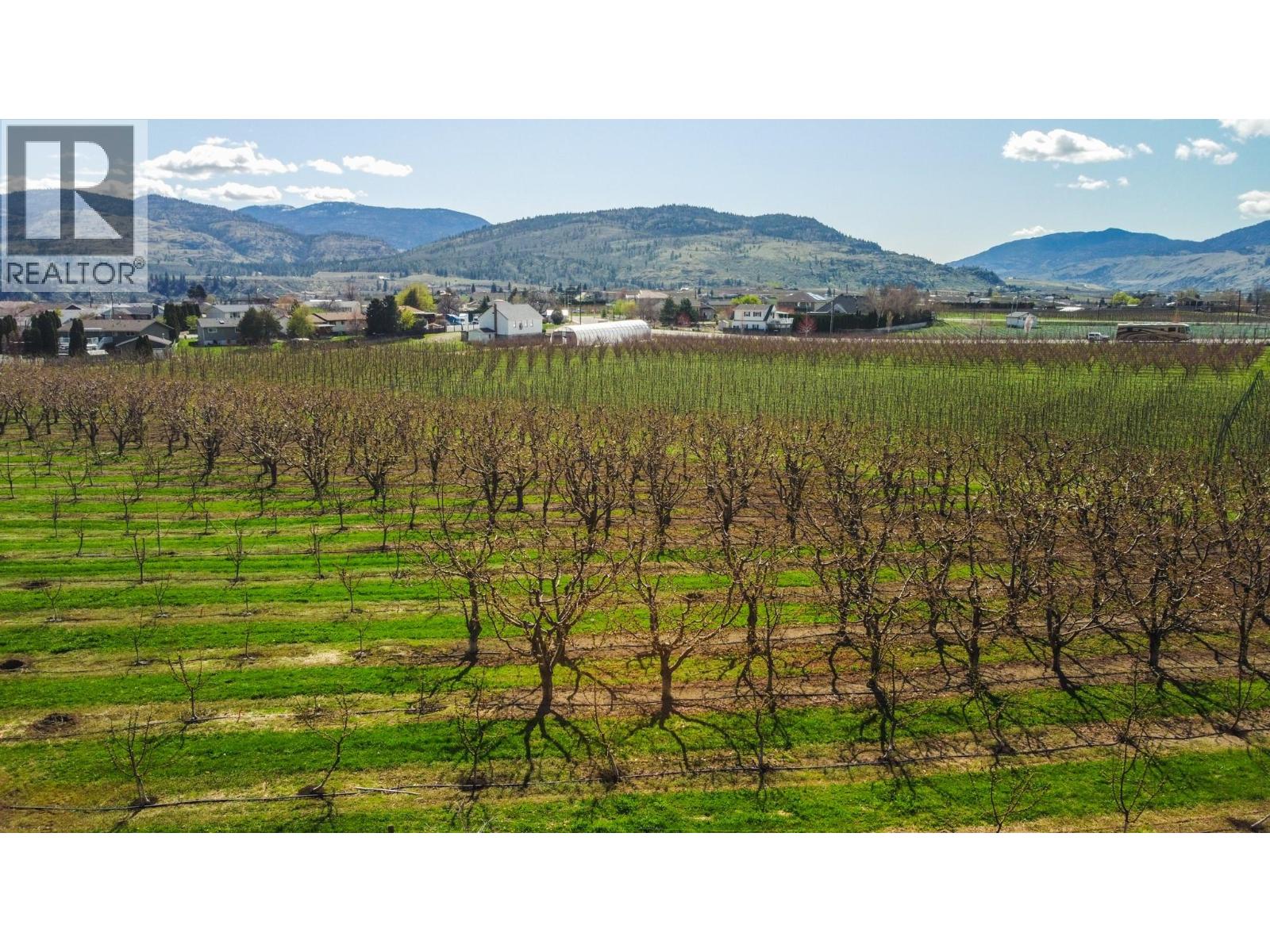 1233 Copper Road, Oliver, British Columbia  V0H 1T5 - Photo 12 - 10403530