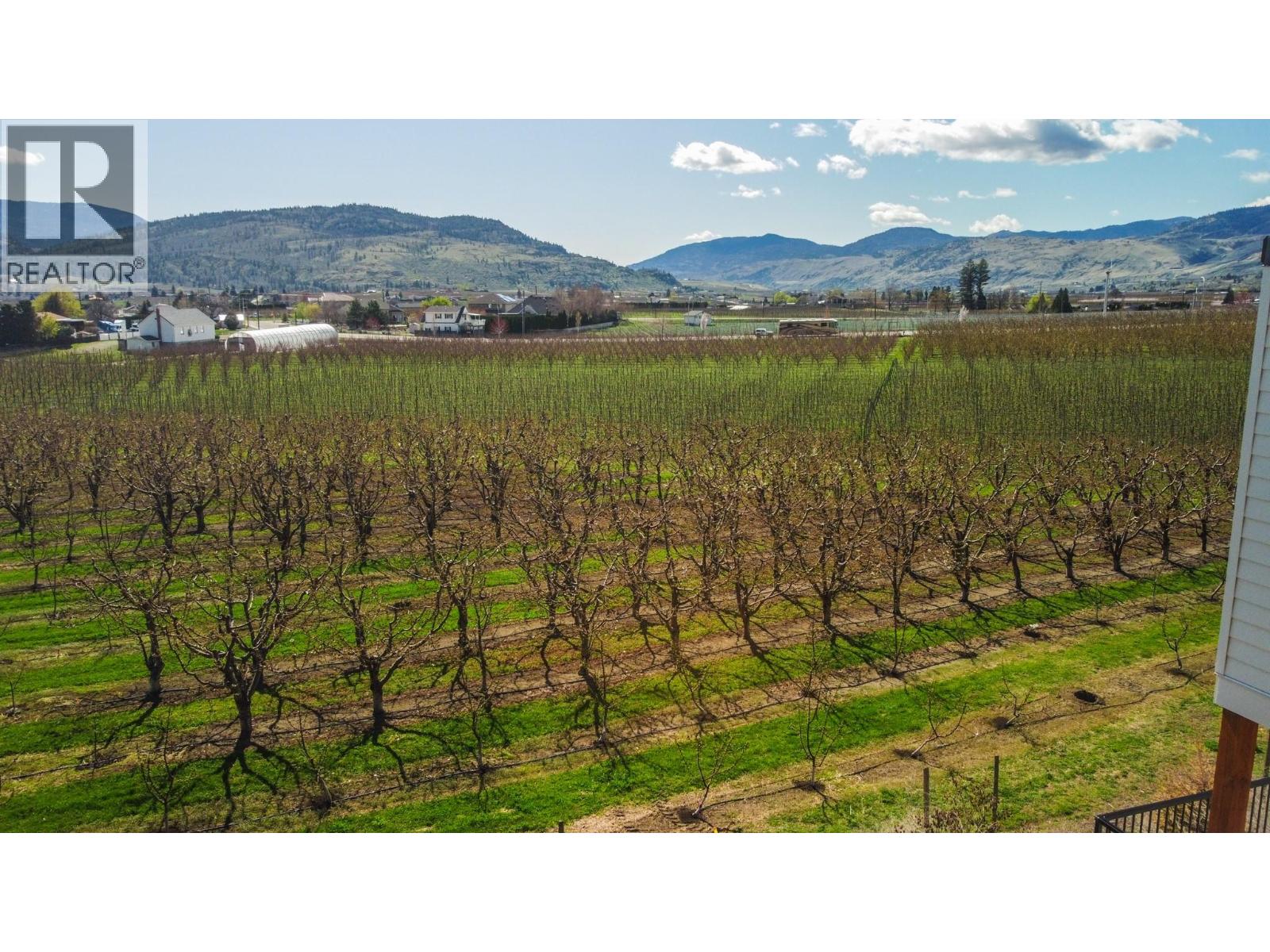 1233 Copper Road, Oliver, British Columbia  V0H 1T5 - Photo 13 - 10403530