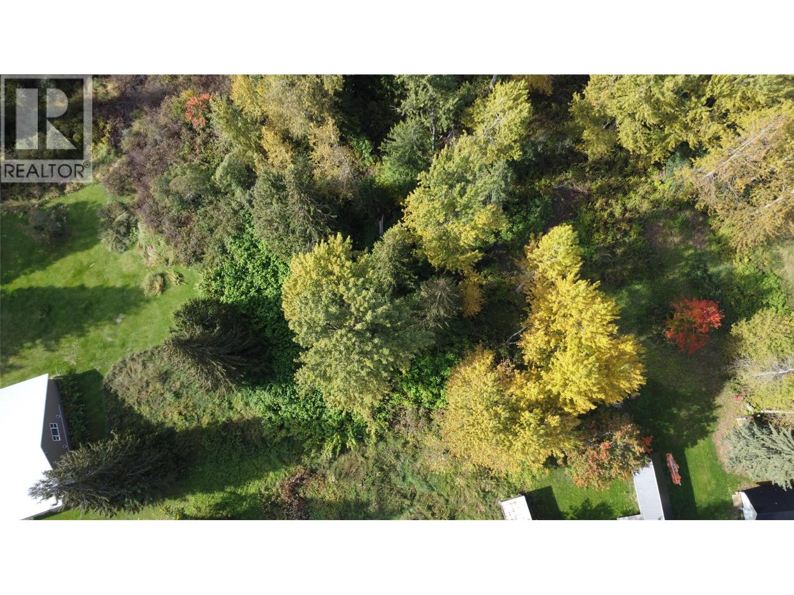 Lots 13-17 Lee Road, Trout Lake, British Columbia  V0G 1R2 - Photo 9 - 10403452