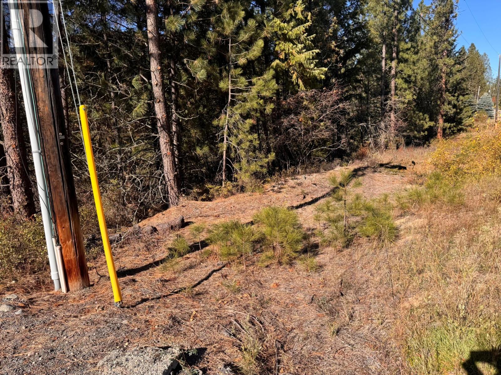 Lot 9 Prospect Drive, Grand Forks, British Columbia  V0H 1H2 - Photo 6 - 10403442